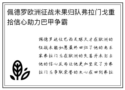 佩德罗欧洲征战未果归队弗拉门戈重拾信心助力巴甲争霸